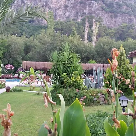 Riverside ダルヤン