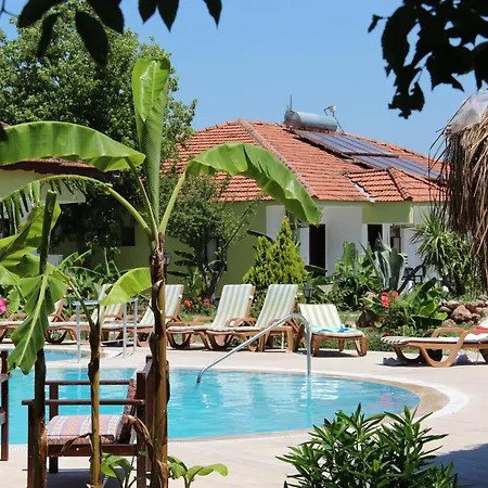 Отель Riverside 3*