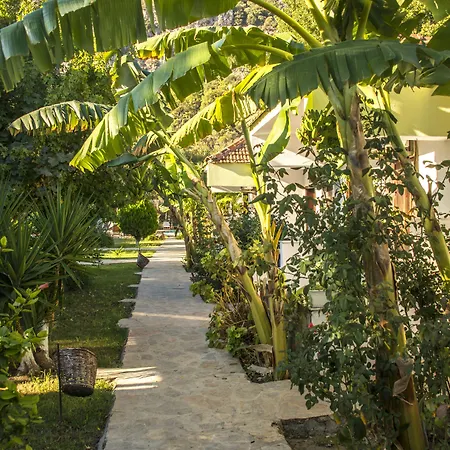 Riverside Дальян