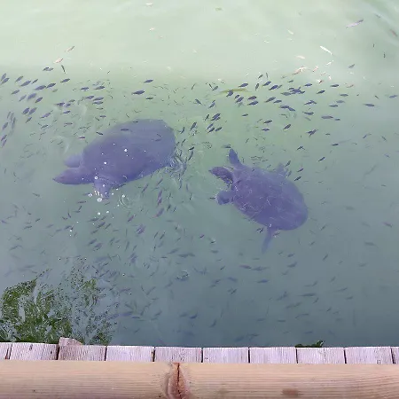 Riverside 酒店 达利安