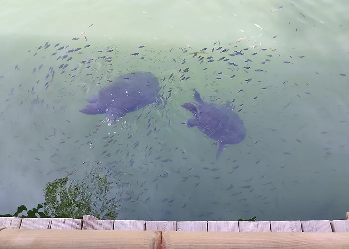 Riverside Hotel Dalyan